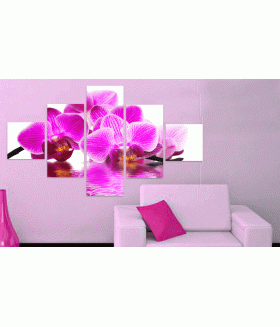 Multi-canvas Orhidee 5x